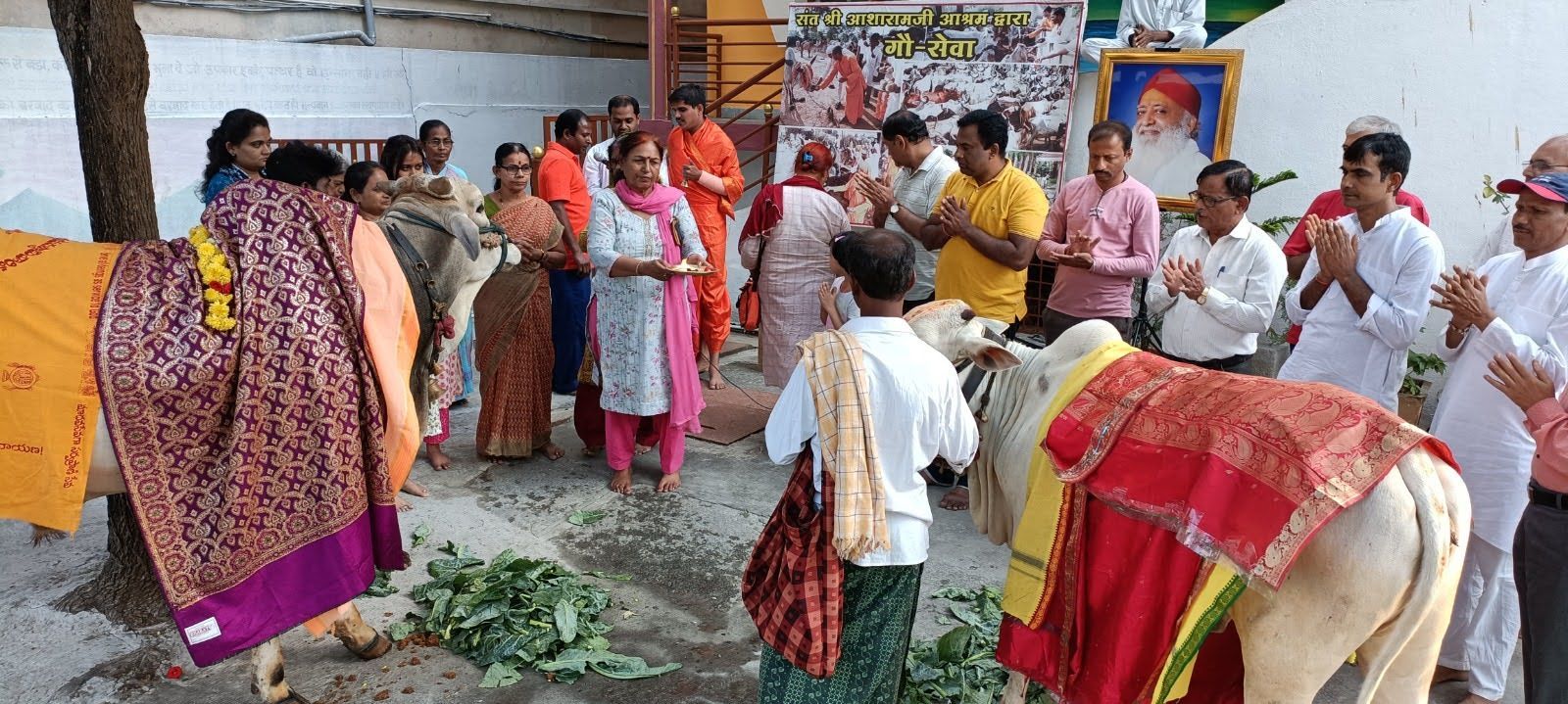 WhatsApp Image 2023-11-19 at 10 26 00 PM (2)